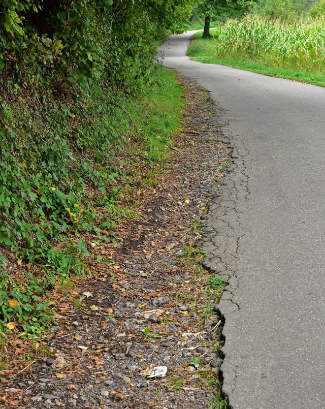 So sieht die Schneckenberg-Strae talw...rbahnrand und  berhngende ste auf.   | Foto: Hans Meidhof