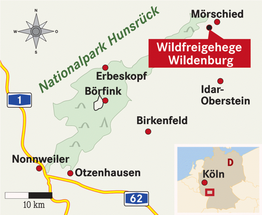 Im Reich des HunsrückTigers Reise Badische Zeitung