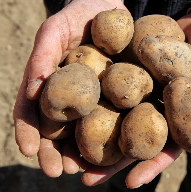 Die Kartoffel: schmackhaft,  gesund und regional    | Foto: dpa