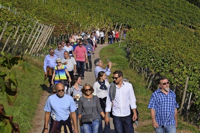 Weinwanderung in Waldkirch