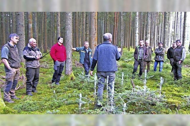 Verbiss soll zurckgedrngt werden