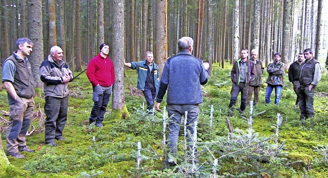 Die Naturverjngung  funktioniert. Die...d mit Verbissschutzmittel prpariert.   | Foto: Otmar Heiler