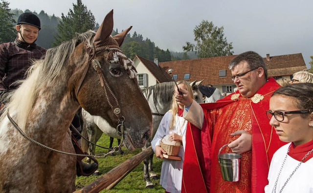 Keine Angst vorm Weihwasser hatten Ros...ferdeweihe  durch Pfarrer Martin Kalt.  | Foto: Olaf Michel