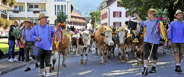 Ein buntes Bild bot den vielen Zuschau...kten Khe zur Festwiese marschierten.   | Foto: Fotos: Horst Dauenhauer