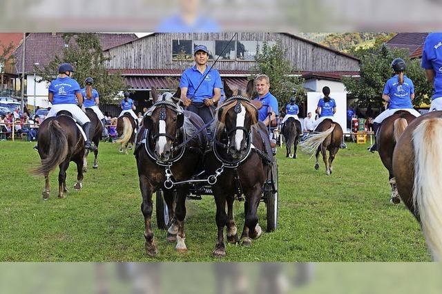 Mensch und Pferd im gelungenen Miteinander