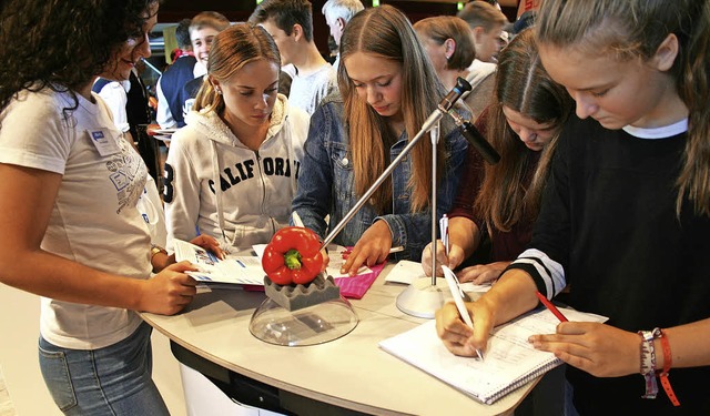 Schlerinnen fllen ihren in der Schule vorbereiteten Fragebogen aus.   | Foto: Anja Kunz