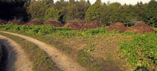 Nicht das Ausbringen des Dngers ist d... ein ziemlich starker Geruch ins Tal.   | Foto: Helmut Kohler