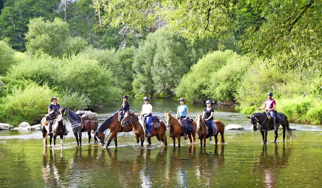 In 16 Tagen legt eine Reitergruppe die...berquerung der Donau bei Friedingen.   | Foto: Privat