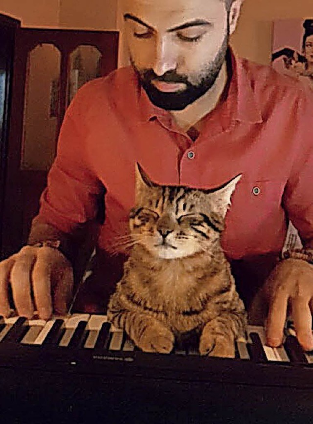 Gemeinsam am E-Piano: Duman mit Katze.   | Foto: Screenshot
