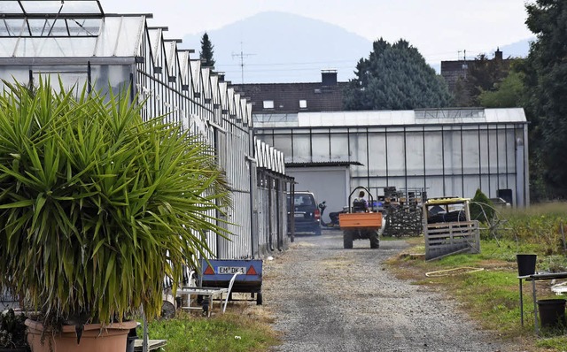 Ein Teil  der Gewchshuser der Grtne...aldkircherstrae soll verschwinden.     | Foto: Jonas Hirt