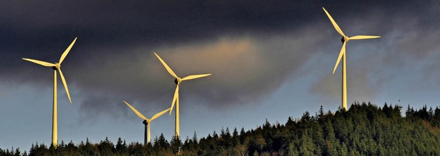 Vier Windrder stehen schon auf dem Ro...gen. Gundelfingen sieht das kritisch.   | Foto: Ingo Schneider