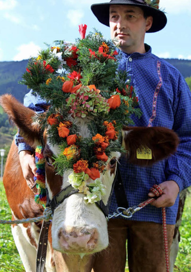 Tobias Winterhalter mit Leitkuh beim Viehabtrieb 2016  | Foto: Erich Krieger