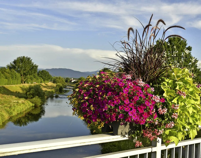 Dieser Blumenschmuck kommt bei den Br... und soll knftig ausgeweitet werden.   | Foto: Dieter Erggelet