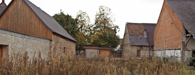 Neben der Hauswand links soll ein Container Platz finden.   | Foto: M.Haberer