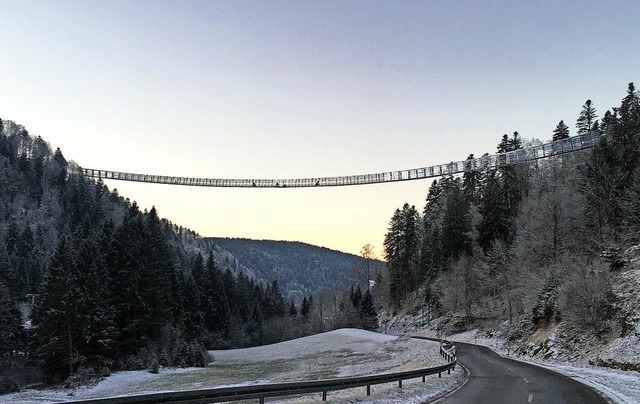 So knnte sie einmal aussehen, die Hngebrcke ber das Wehratal.  | Foto: Freunde fr Todtmoos