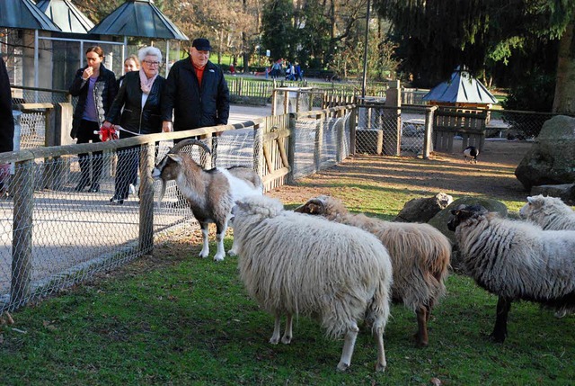 Die Tiere im Rosenfelspark fallen nich...idierung zum Opfer, sie drfen bleiben  | Foto: Maja Tolsdorf