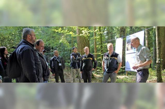 Forstfachleute auf Exkursion im Kanderner Wald