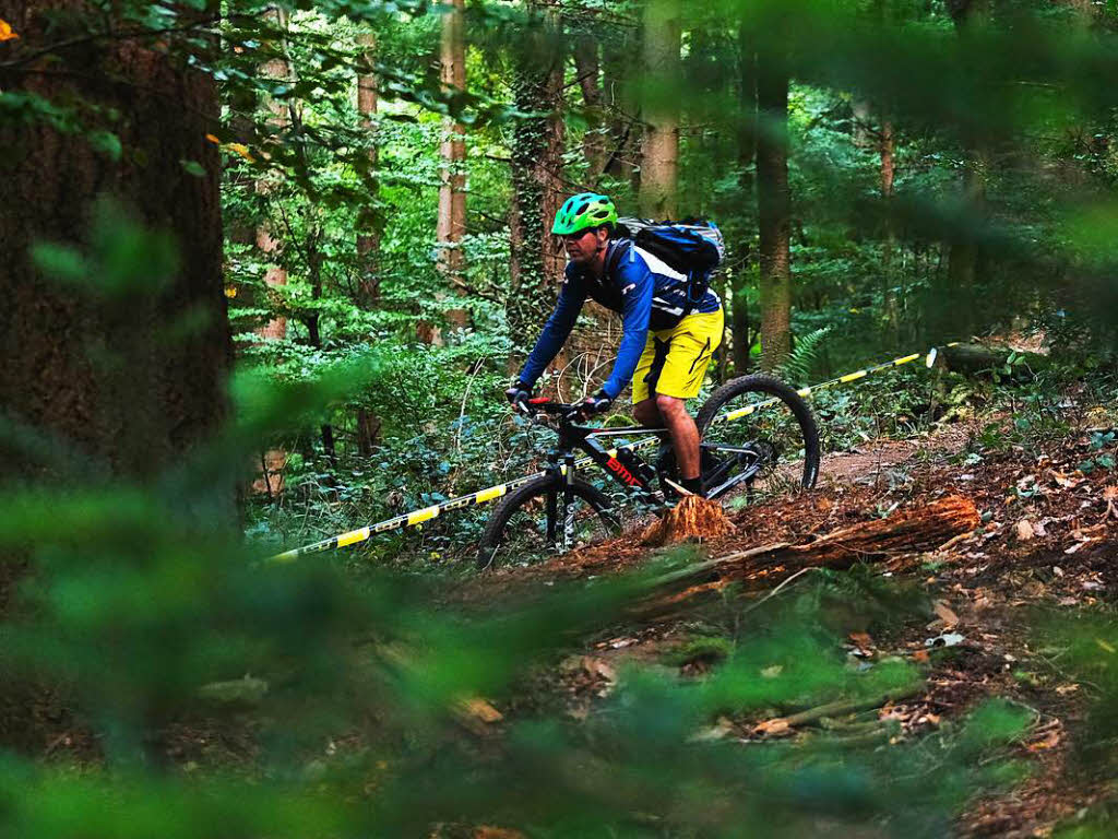 Mountainbiker im Freiburger Wald.