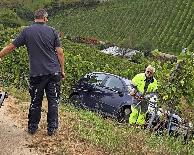 In den Buchholzer Rebbergen musste ein...g vom Hang auf den Weg gezogen werden.  | Foto: Feuerwehr