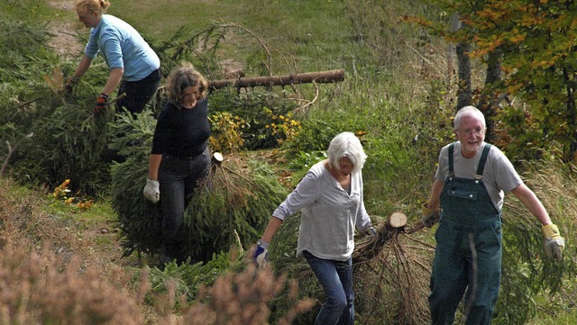 Tatkrftig gingen die Helfer beim Landschaftspflegetag in Ibach ans Werk  | Foto: Karin Stckl-Steinebrunner