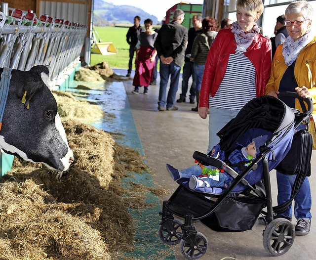 Gleich zur Erffnung durch Verena Nopp...el und Spa fr Kinder und Bewirtung.   | Foto: Karin Heiss