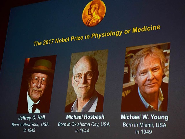 Der Nobelpreis fr Medizin geht in die...ll, Michael Rosbash und Michael Young.  | Foto: AFP