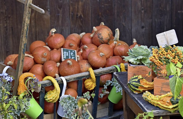 Beim Schiere-Fest in Zarten sorgten Krbisse fr ein herbstliches Bild.   | Foto: Markus Donner