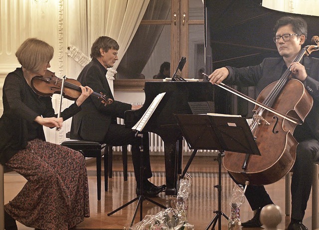 Das Trio mit Ilona Then-Bergh, Geige, ...ien zu wahren Begeisterungsstrmen hin  | Foto: Karin Stckl-Steinebrunner