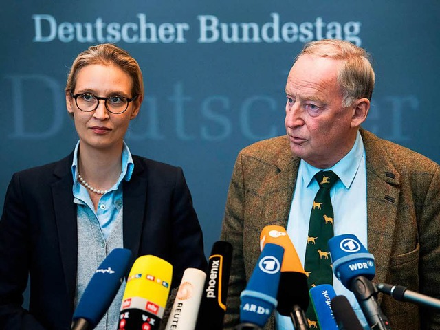 Die Fraktionsvorsitzenden der AfD im D...der Bundestagsfraktion vor der Presse.  | Foto: dpa