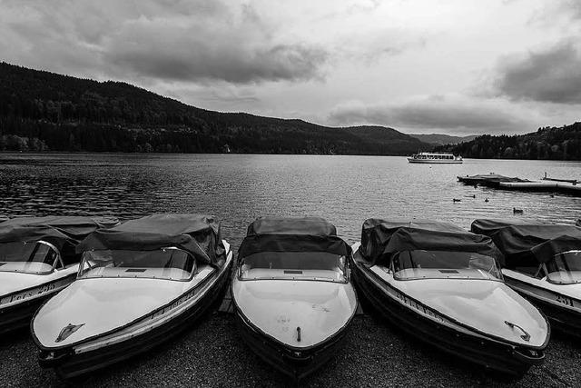 Fotos: Schwarzwald-Melancholie in Schwarz-Wei