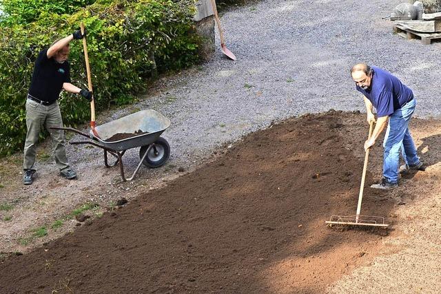 Der Glanz kehrt in den Sanagarten zurck