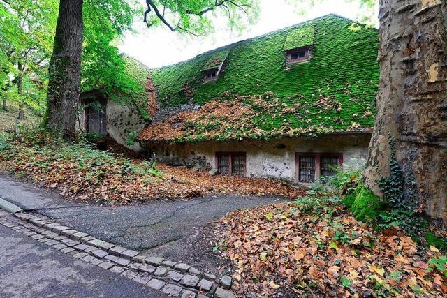 Der Meierhof der alten Kartaus in Freiburg wird saniert