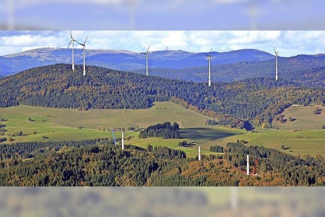 Treffen sich zwei Windparks