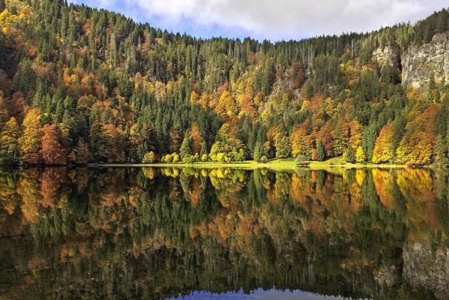 So bunt treibt’s der Herbst