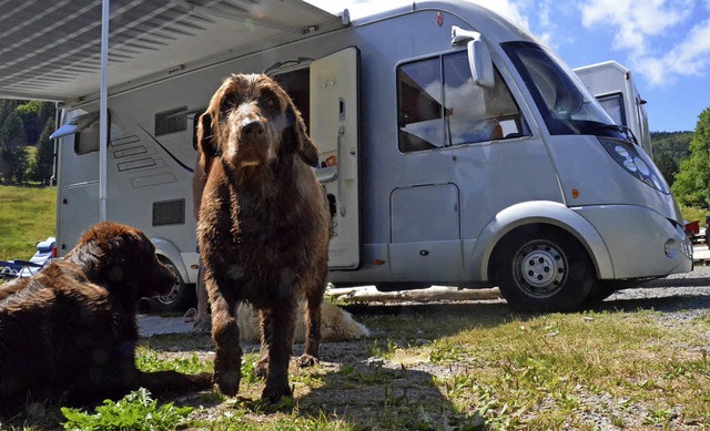 Der Wohnmobilstellplatz in Menzenschwa... Einrichtung eines Platzes diskutiert.  | Foto: Sebastian Barthmes