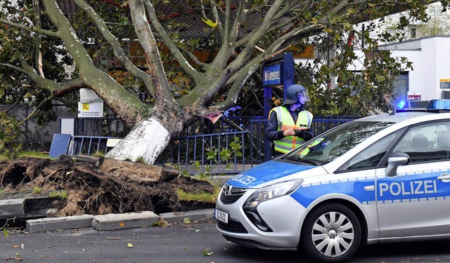 Ein Baum ist in Berlin auf den Eingang einer U-Bahnstation gestrzt.   | Foto: DPA