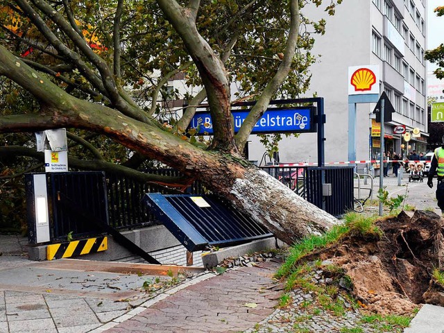 Auch in Berlin wurden durch Xavier zahlreiche Bume entwurzelt.  | Foto: dpa