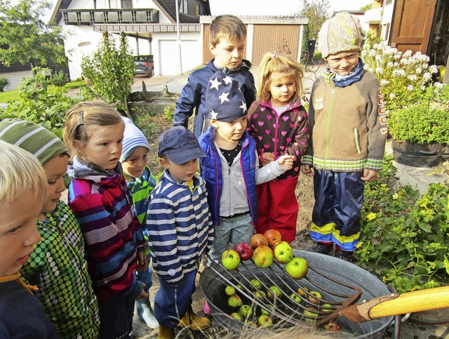 Hgelbergs Kindergartenkinder wissen j...e aus pfeln leckerer Apfelsaft wird.   | Foto: Senn/ZVG
