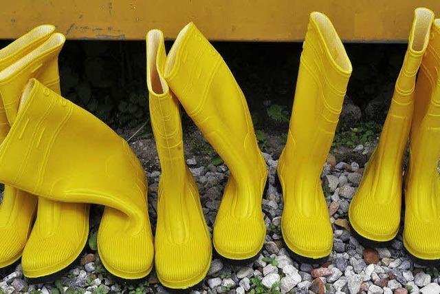 Kronenhof Ferienbauernhof