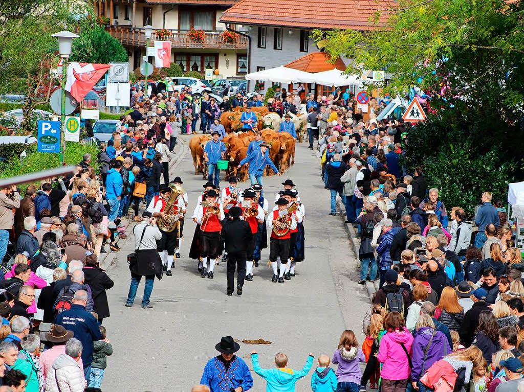 Volksfeststimmung beim Almabtrieb in Oberried