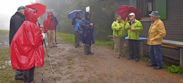 Trotz Nebel und Dauerregen begrten  ...Wanderenthusiasten auf dem Hnersedel.  | Foto: Dieter Erggelet