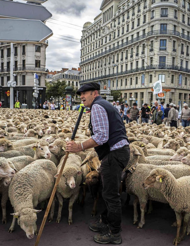   | Foto: AFP