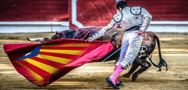 Der katalanische Torero gegen den spanischen Stier  | Foto:  JessR (adobe.com)/Montage:zel