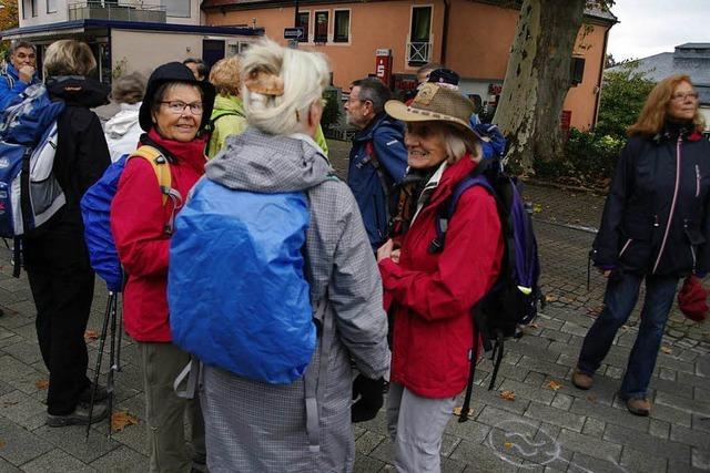 Fotos: BZ-Wanderung mit dem Schwarzwaldverein von Badenweiler auf den Blauen