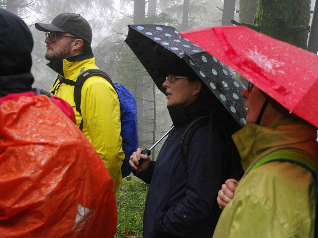 Von Badenweiler auf den Blauen und wieder zurck – von dieser Tour lieen sich die BZ-Wanderer auch vom Regen nicht abhalten.
