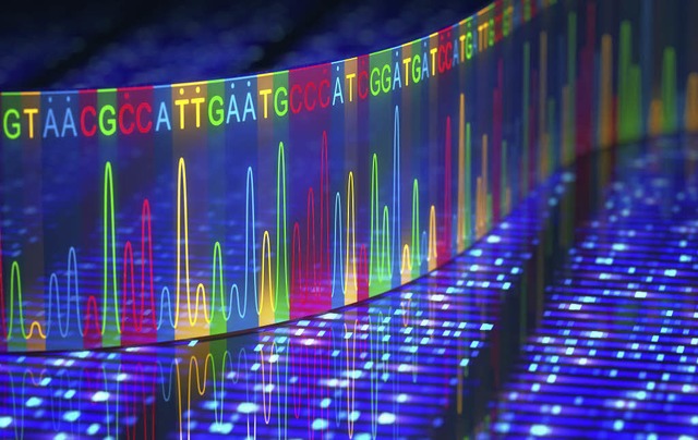 Fehlersuche: Im Genom des Menschen wol...schaftler Krankheitsursachen  finden.   | Foto: Adobe.com