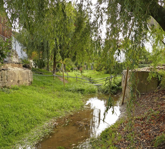 Zgig vorangehen soll es beim Bau der Roten Brcke in Istein.   | Foto: vl