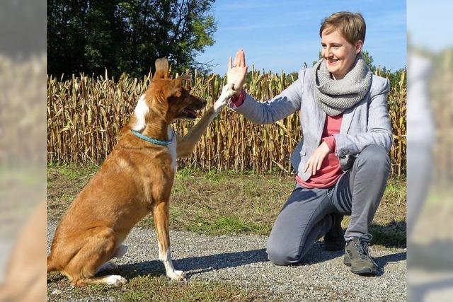 Den eigenen Weg finden – mit Hund