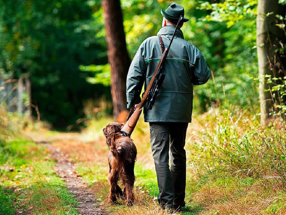 Beim Erfüllen seiner Aufgaben holt sic... Jäger Unterstützung bei seinem Hund.   | Foto: dpa