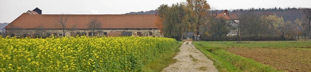 Wertvolles Ackerland auf Hohberger Gem...ut wrde oder eine der V5-Varianten.    | Foto: Ralf Burgmaier